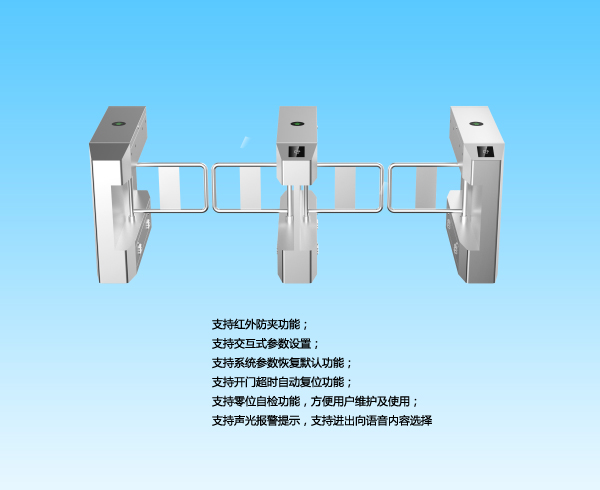 国内大华桥式斜角摆闸DH-ASG4200C